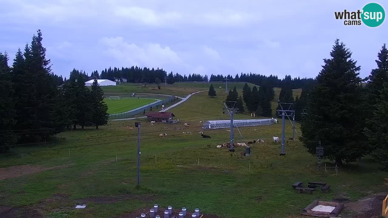 Rogla – Uniorček