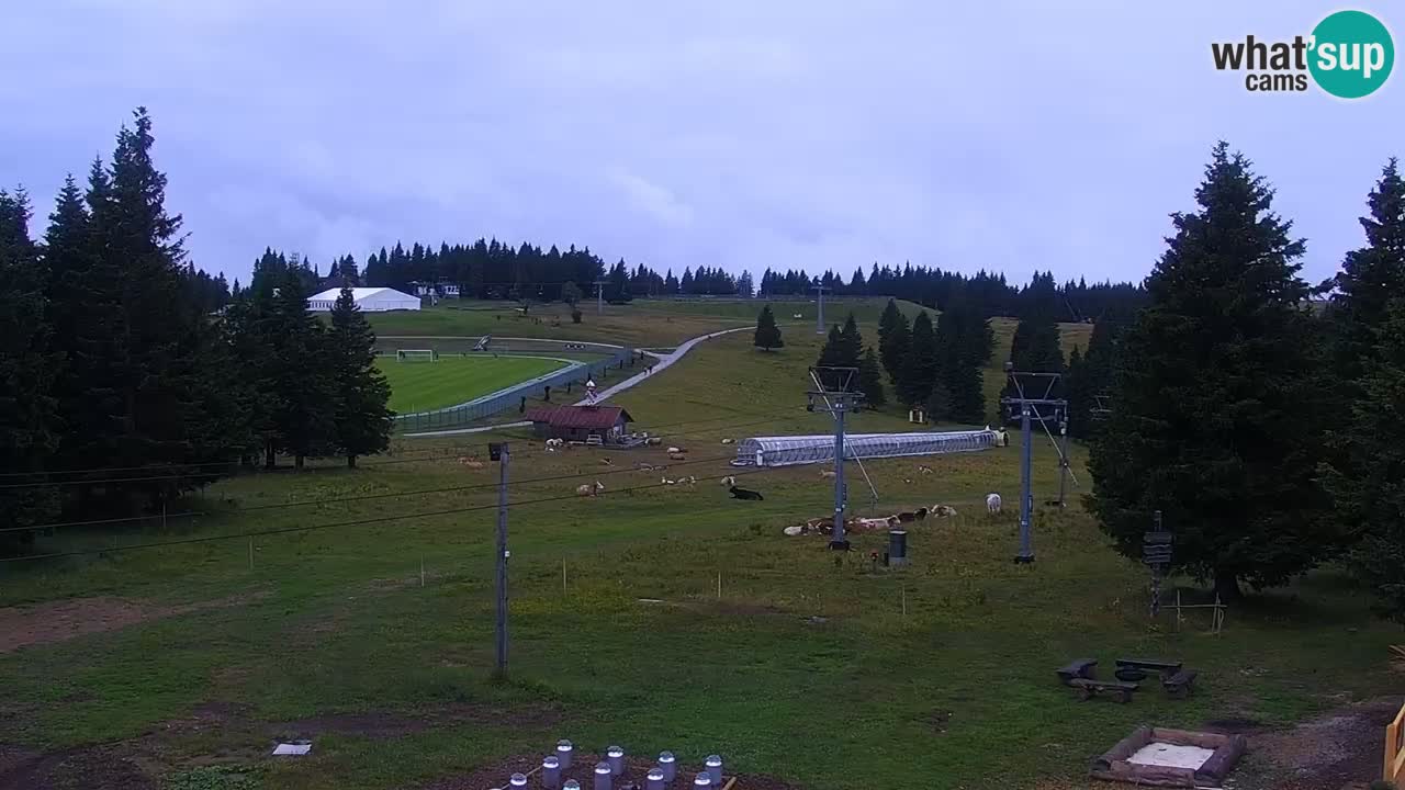 Rogla – Uniorček