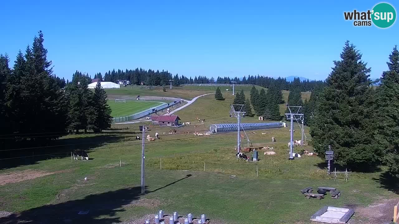 Rogla – Uniorček