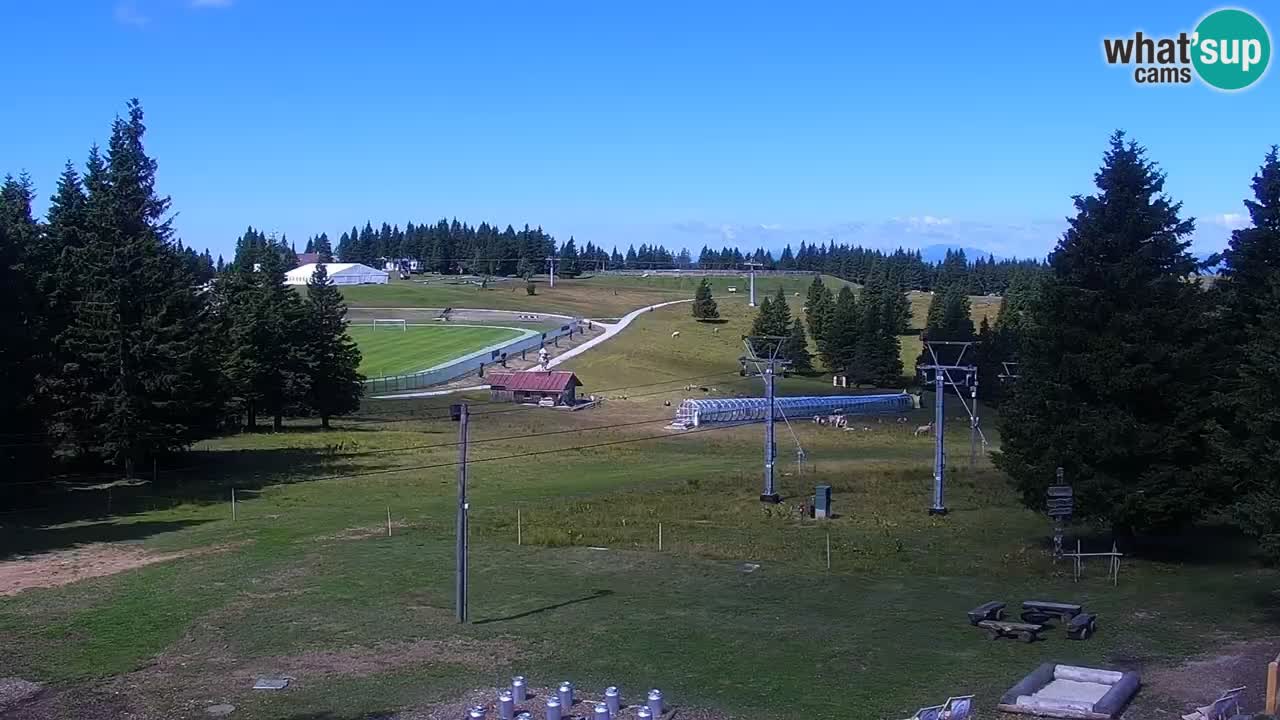 Rogla – Uniorček