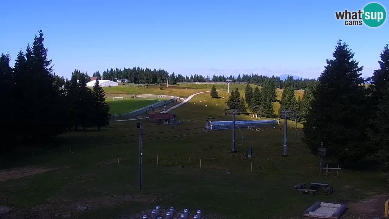 Rogla – Uniorček