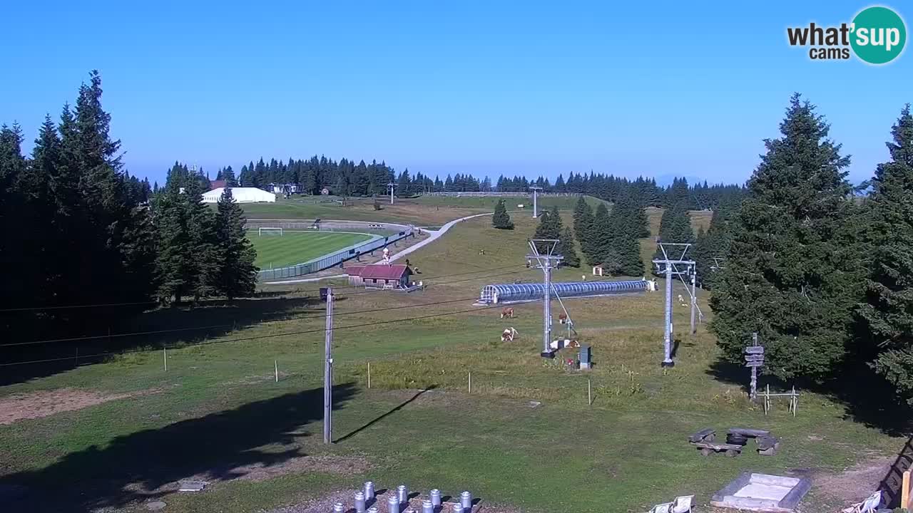 Live webcam Rogla – Uniorček – Ski resort Slovenia