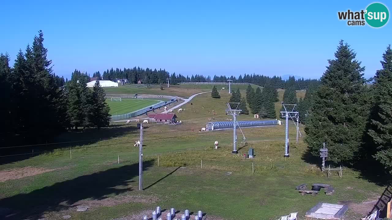 Rogla – Uniorček