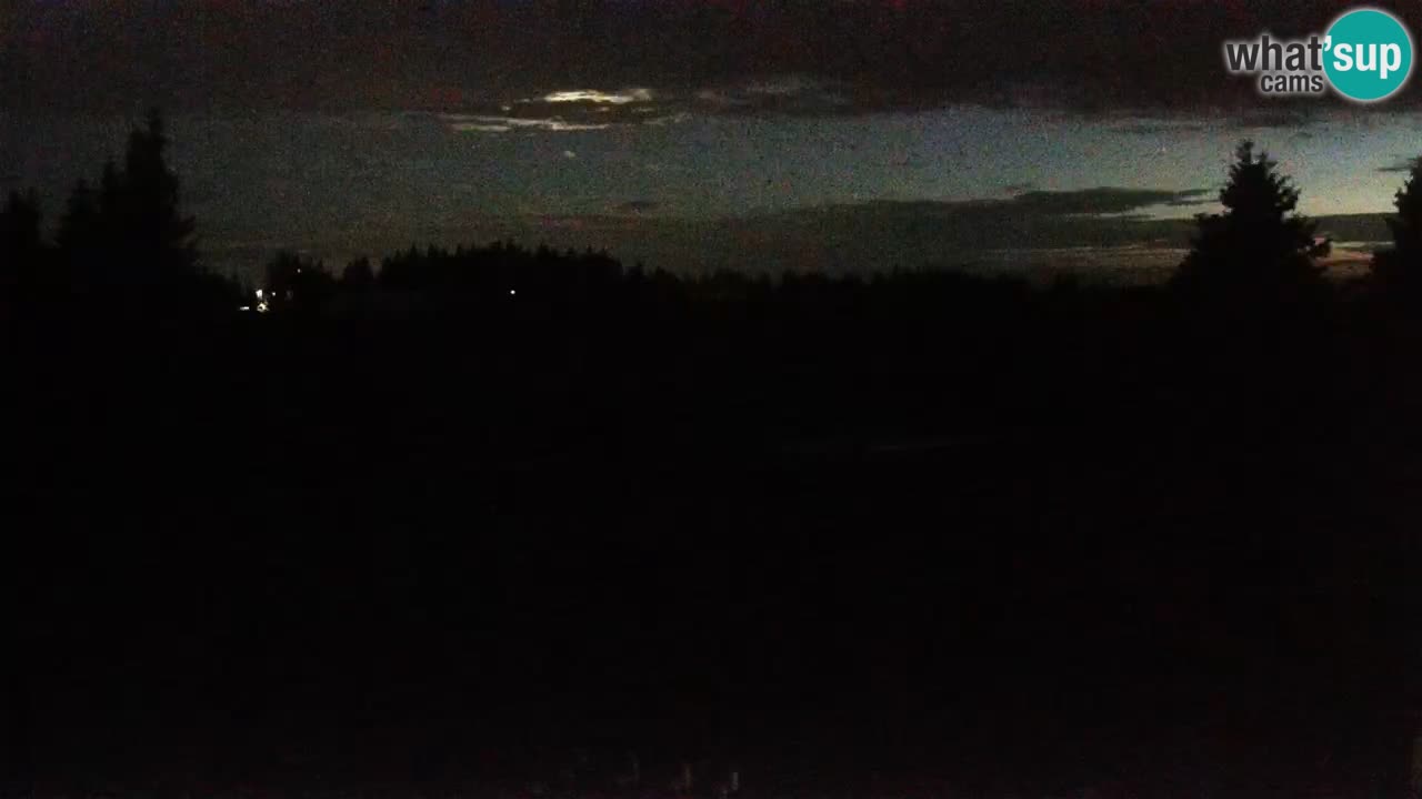 Rogla – Uniorček