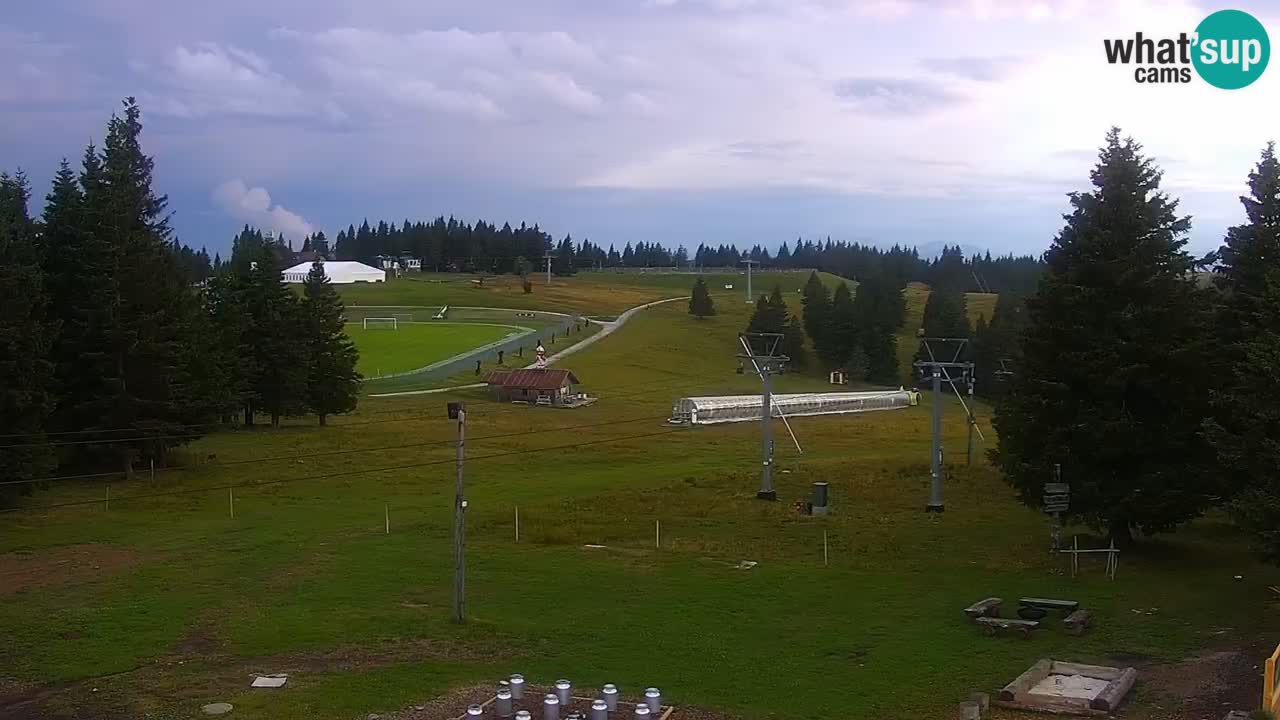 Live webcam Rogla – Uniorček – Ski resort Slovenia