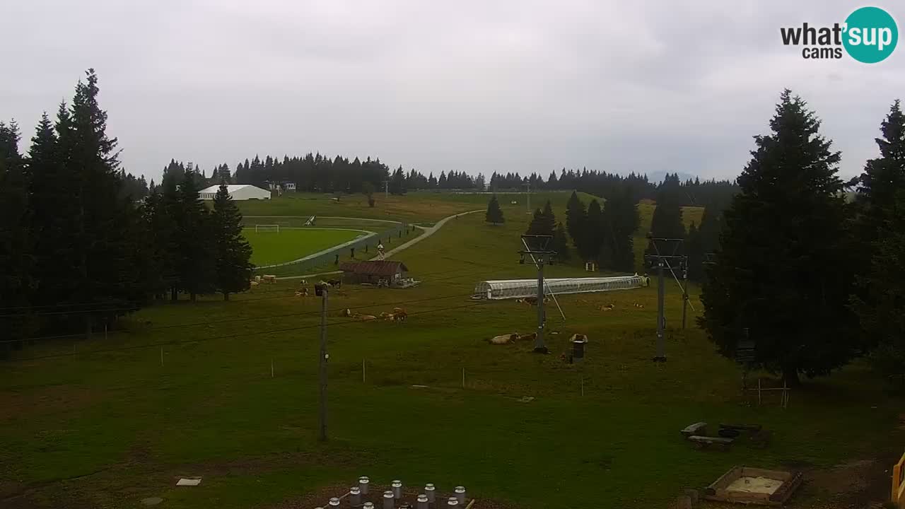 Live webcam Rogla – Uniorček – Ski resort Slovenia