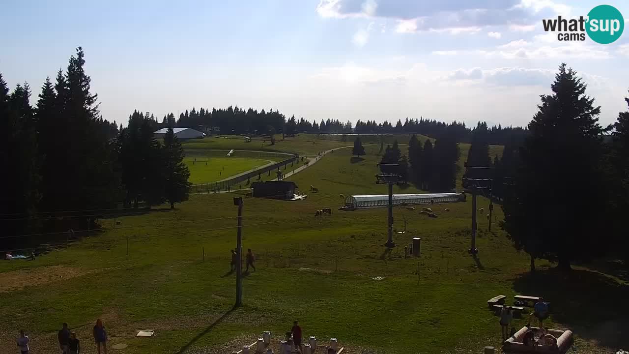 Rogla – Uniorček