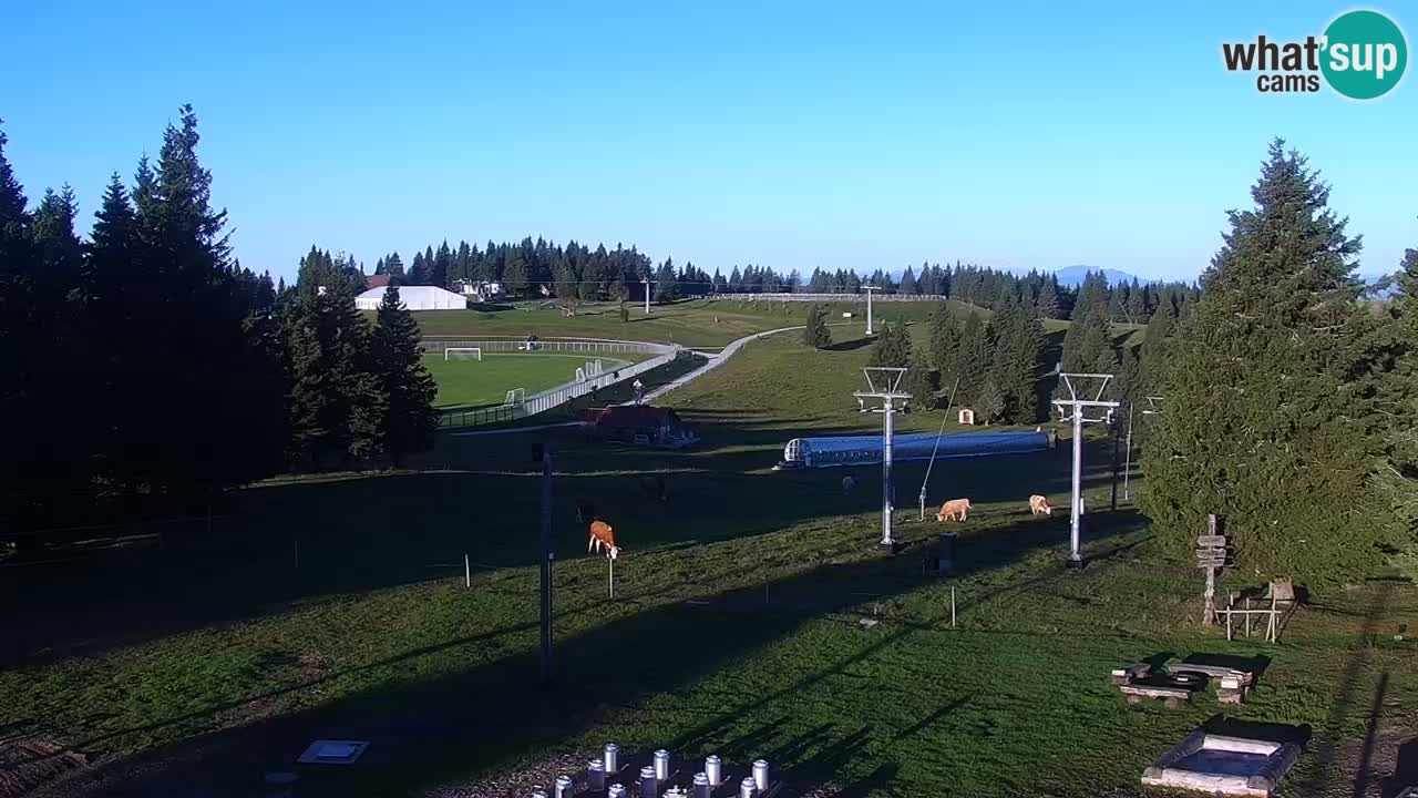 Rogla – Uniorček