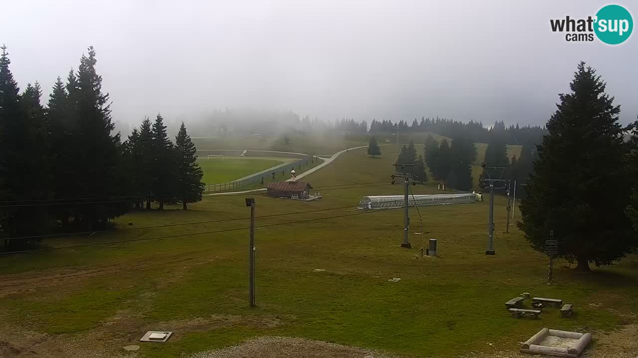 Rogla – Uniorček