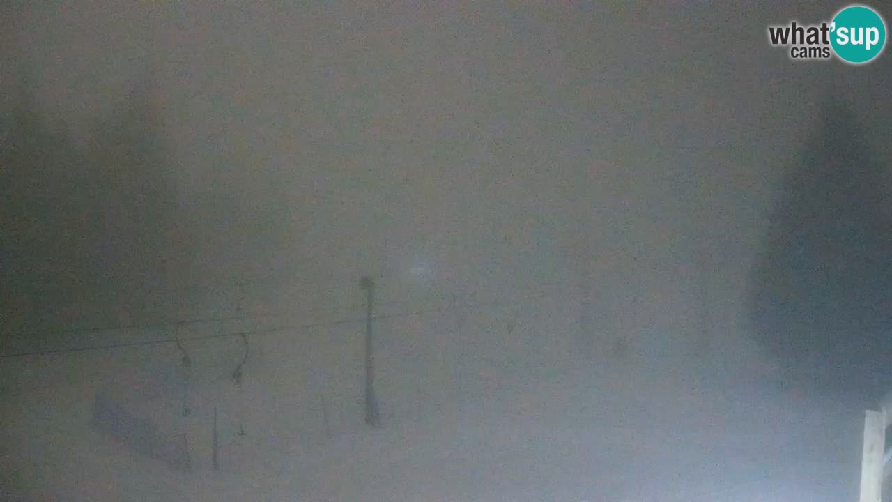 Live webcam Rogla – Uniorček – Ski resort Slovenia