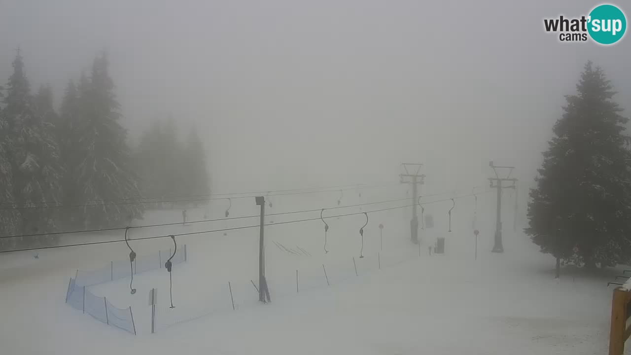 Live webcam Rogla – Uniorček – Ski resort Slovenia