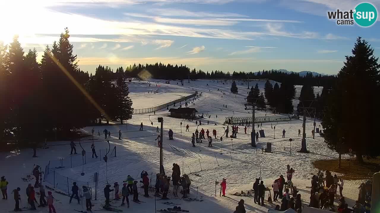 Live webcam Rogla – Uniorček – Ski resort Slovenia