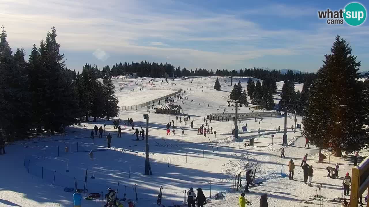 Live webcam Rogla – Uniorček – Ski resort Slovenia