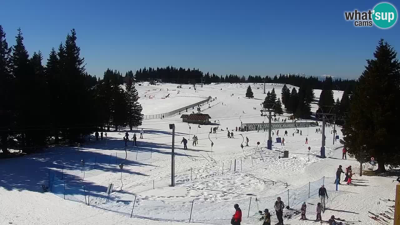 Live webcam Rogla – Uniorček – Ski resort Slovenia