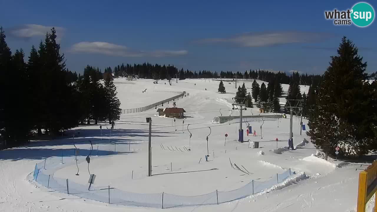 Live webcam Rogla – Uniorček – Ski resort Slovenia