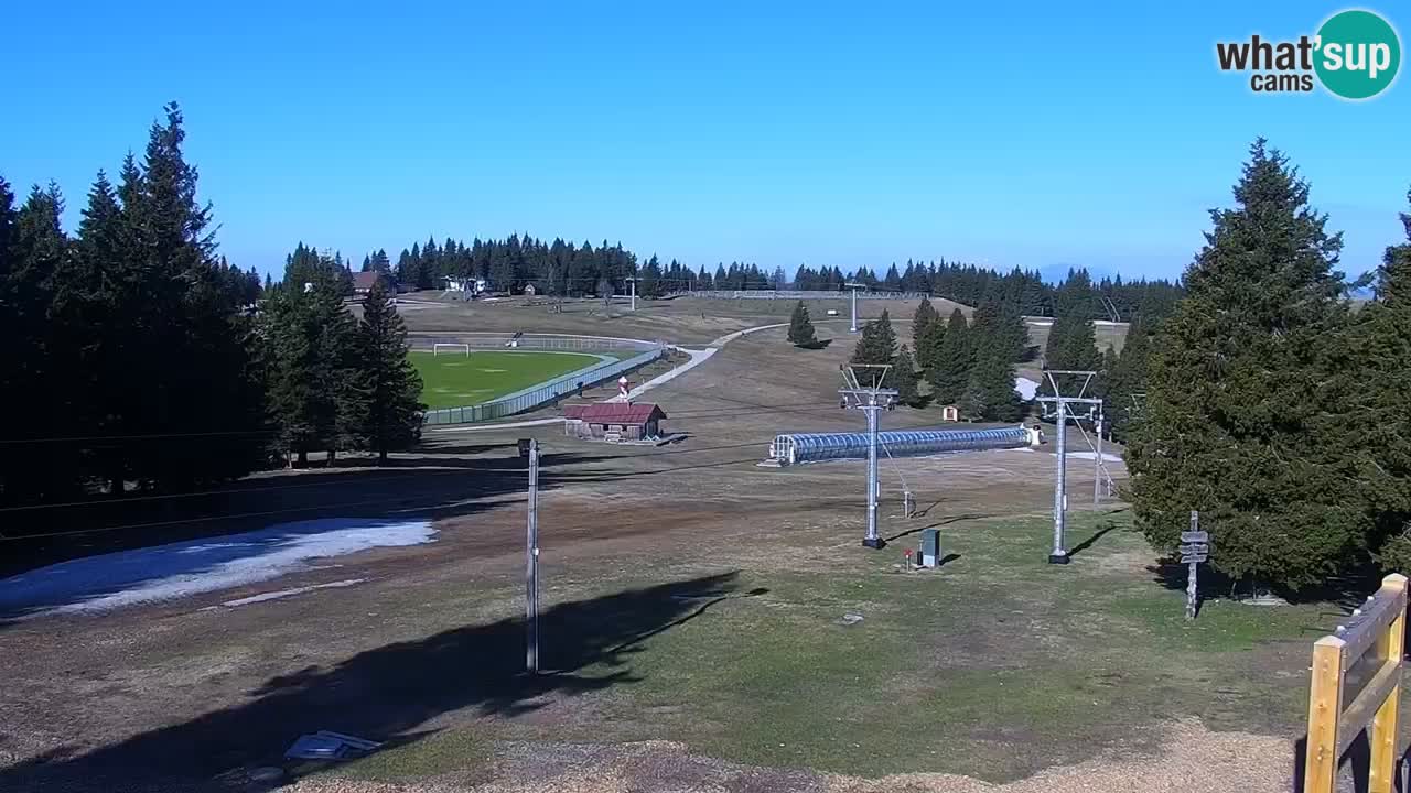 Live webcam Rogla – Uniorček – Ski resort Slovenia