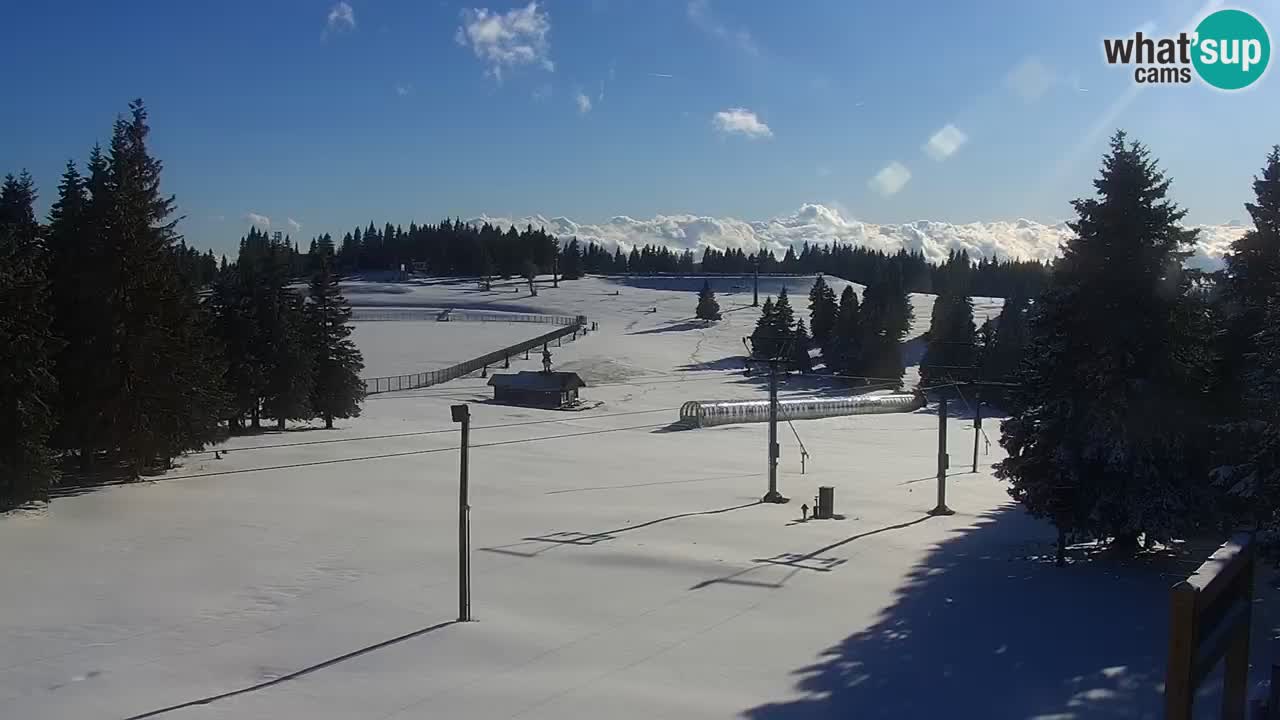 Live webcam Rogla – Uniorček – Ski resort Slovenia