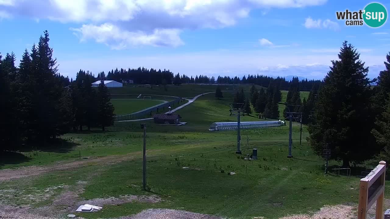 Rogla – Uniorček