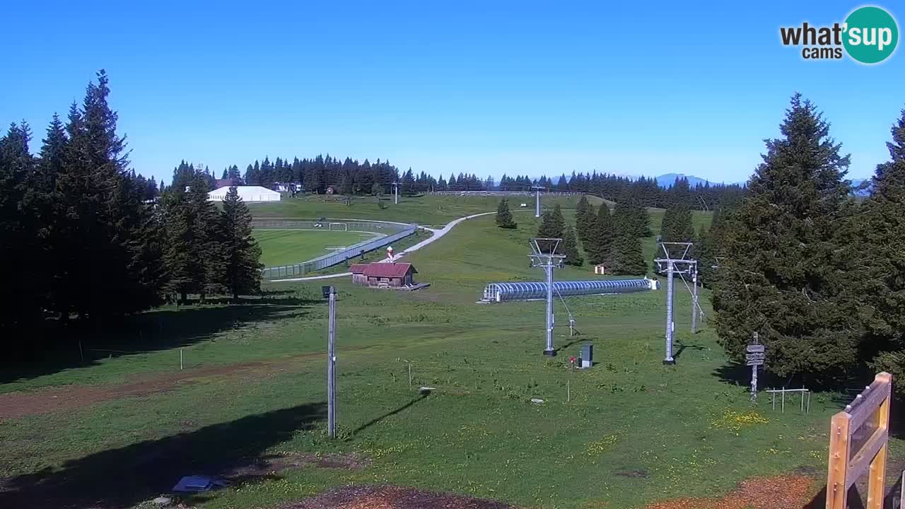 Rogla – Uniorček