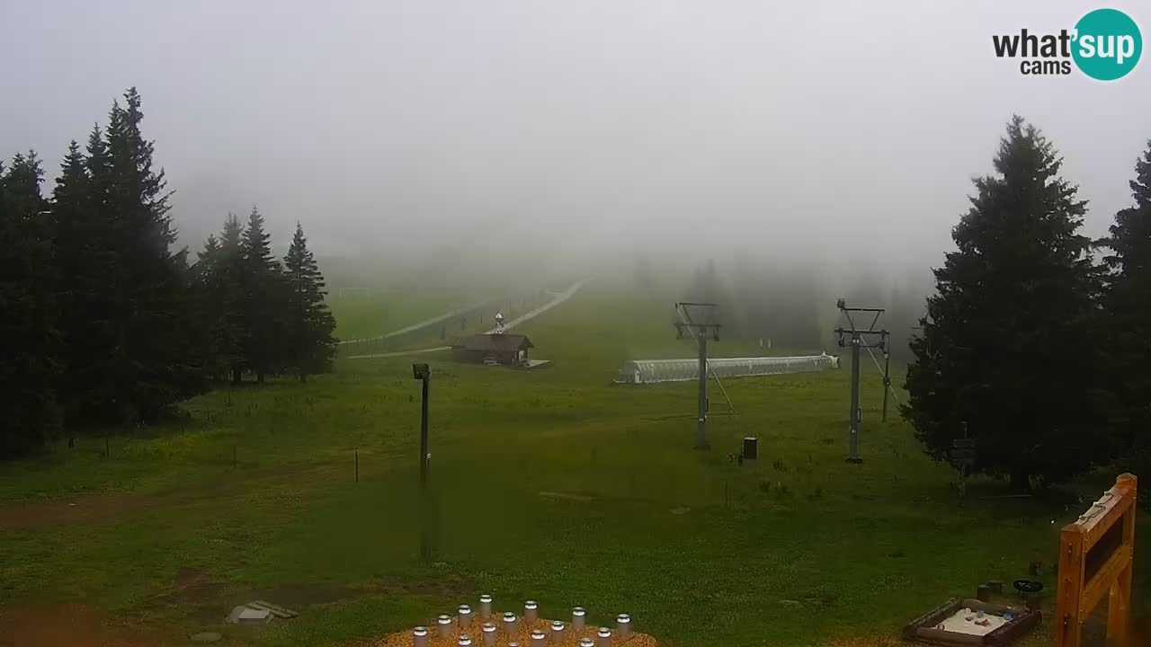 Rogla – Uniorček