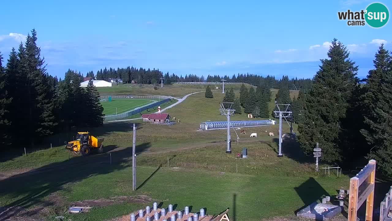 Rogla – Uniorček