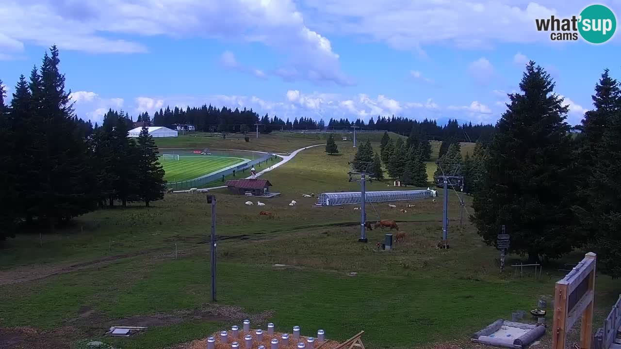 Rogla – Uniorček