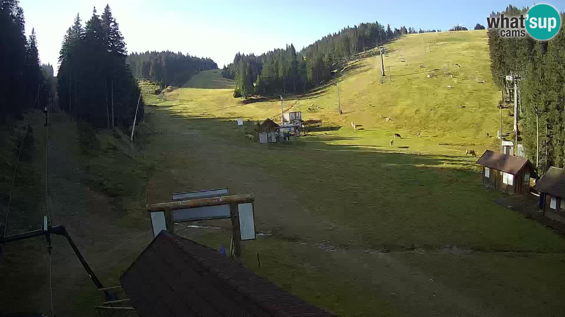 Rogla ski resort – Planja, Košuta, Jasa