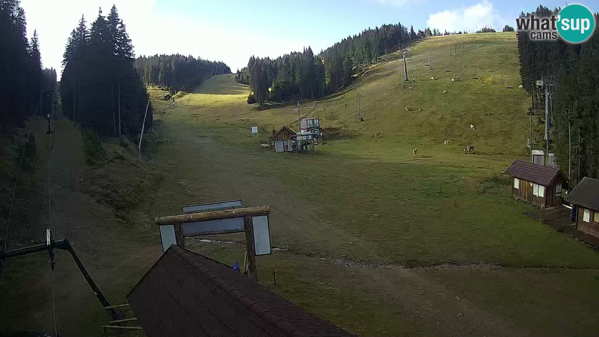 Rogla ski resort – Planja, Košuta, Jasa