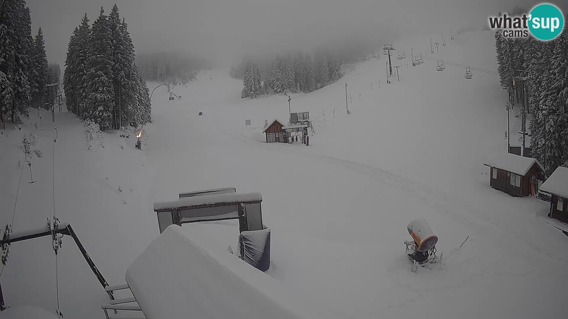 Rogla ski resort – Planja, Košuta, Jasa