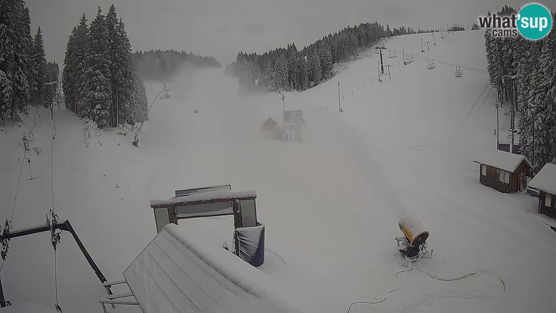 Rogla ski resort – Planja, Košuta, Jasa