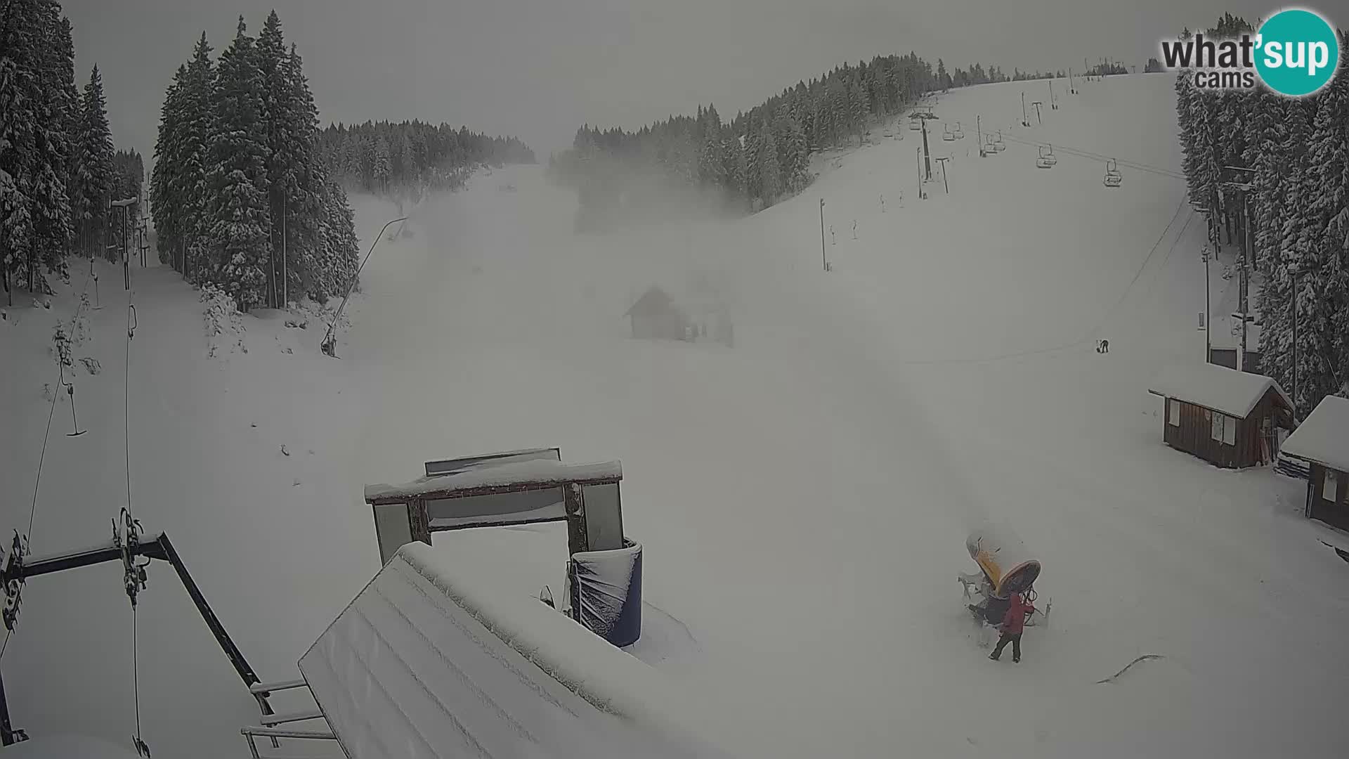 Rogla ski resort – Planja, Košuta, Jasa