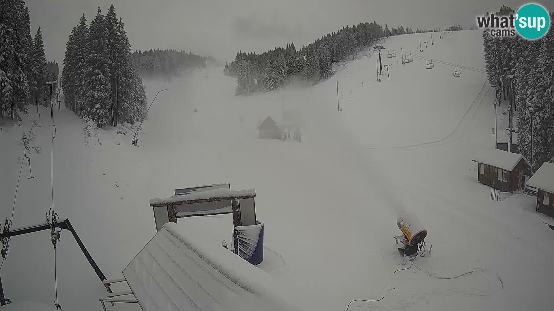 Rogla ski resort – Planja, Košuta, Jasa