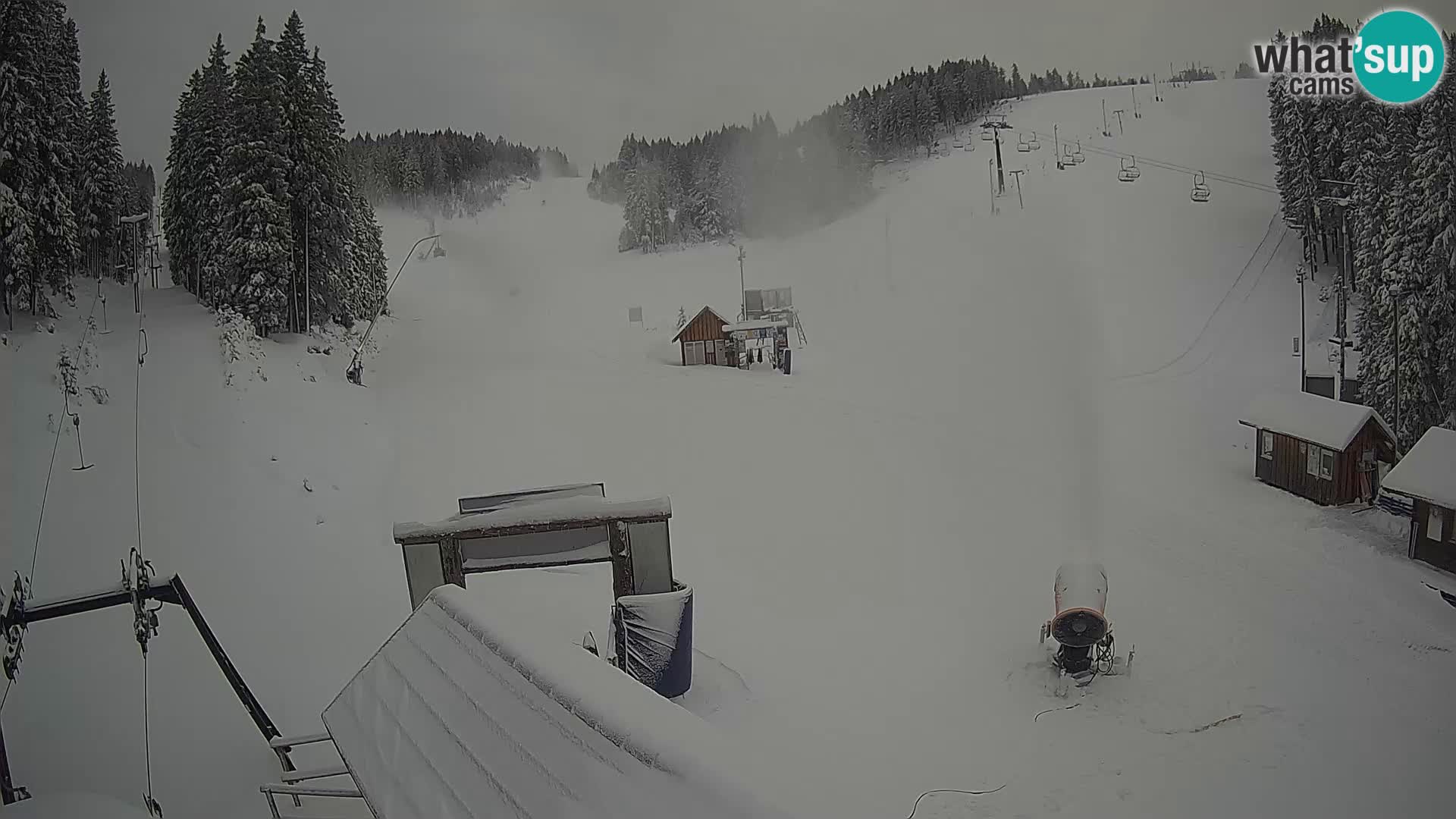 Rogla ski resort – Planja, Košuta, Jasa