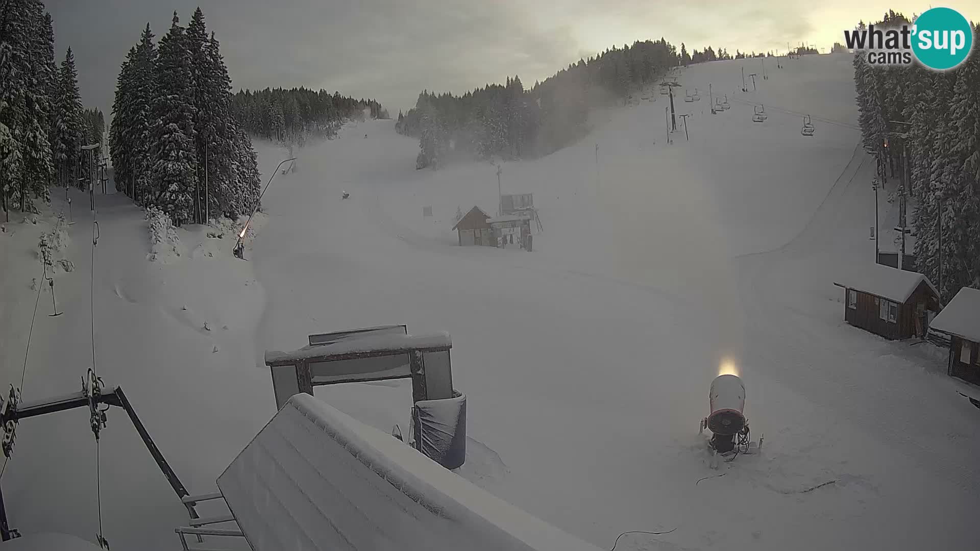 Rogla ski resort – Planja, Košuta, Jasa