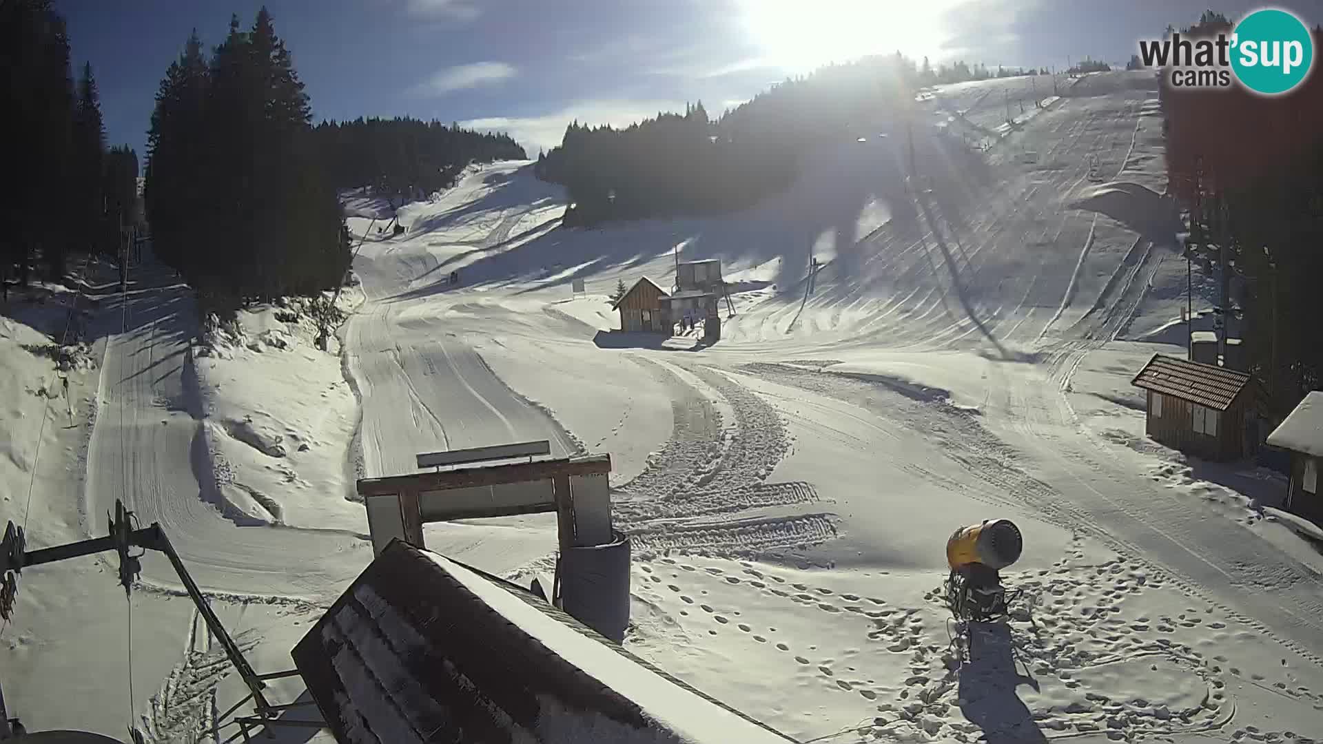 Rogla ski resort – Planja, Košuta, Jasa