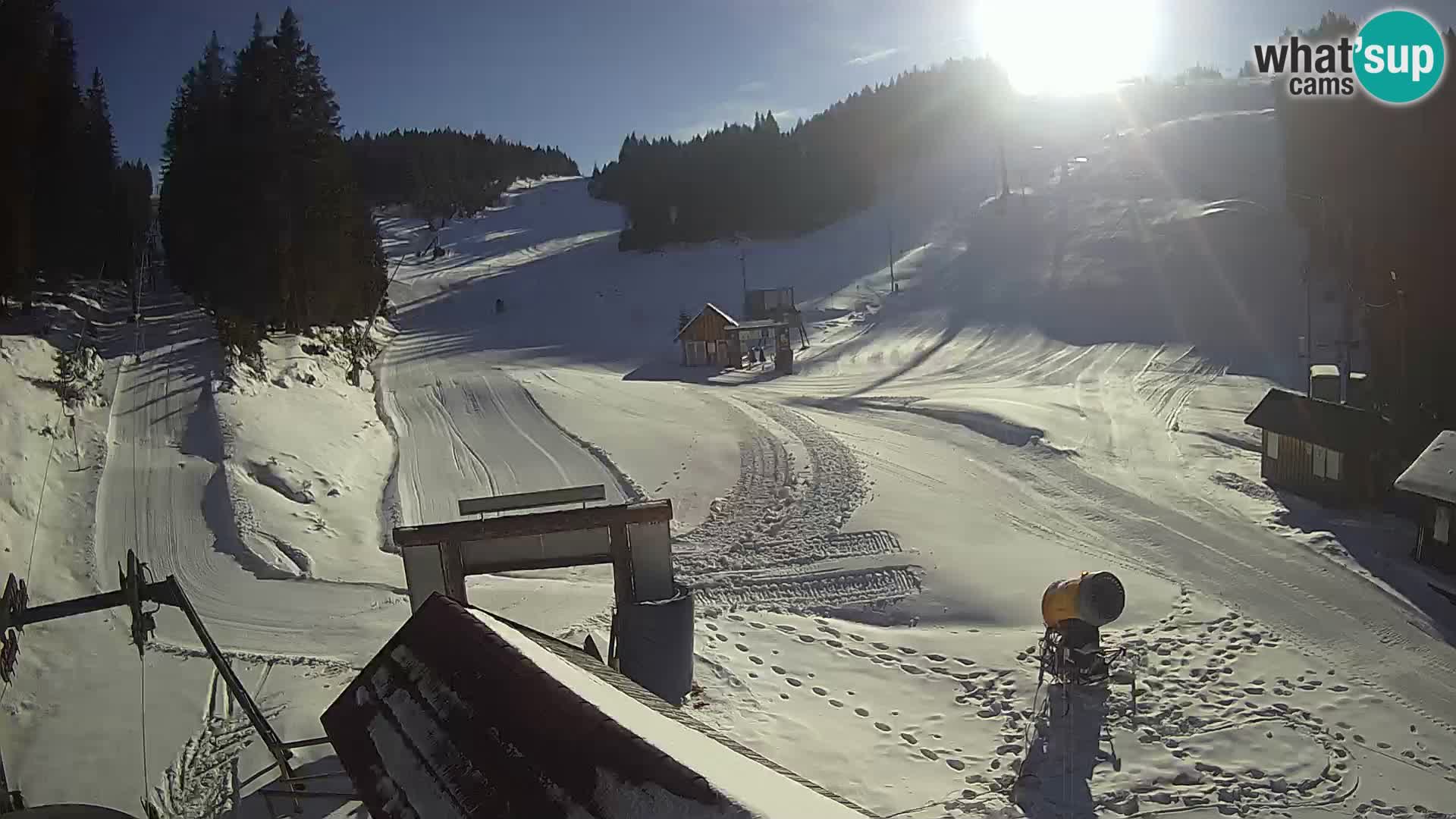 Rogla ski resort – Planja, Košuta, Jasa