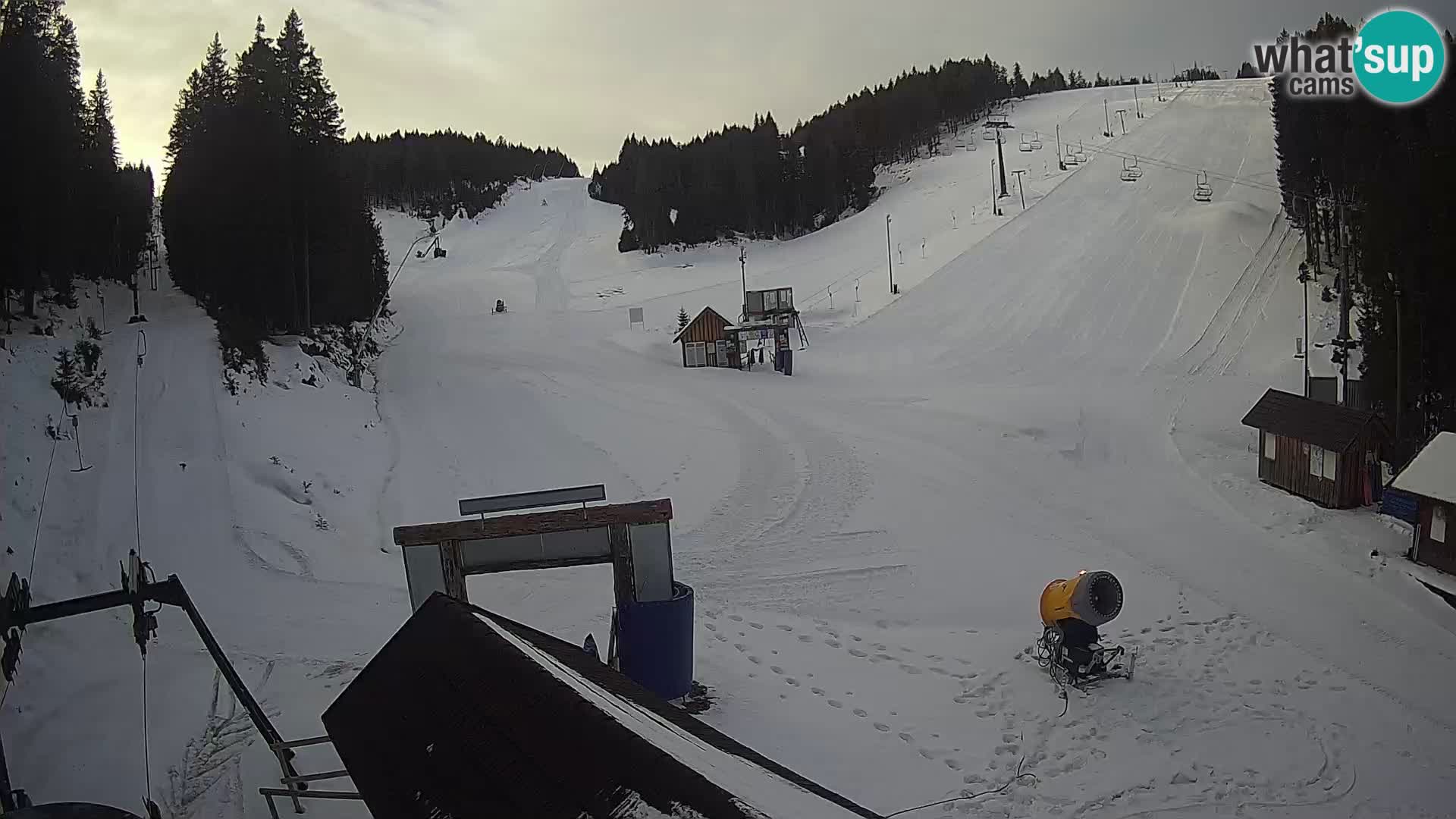 Rogla ski resort – Planja, Košuta, Jasa