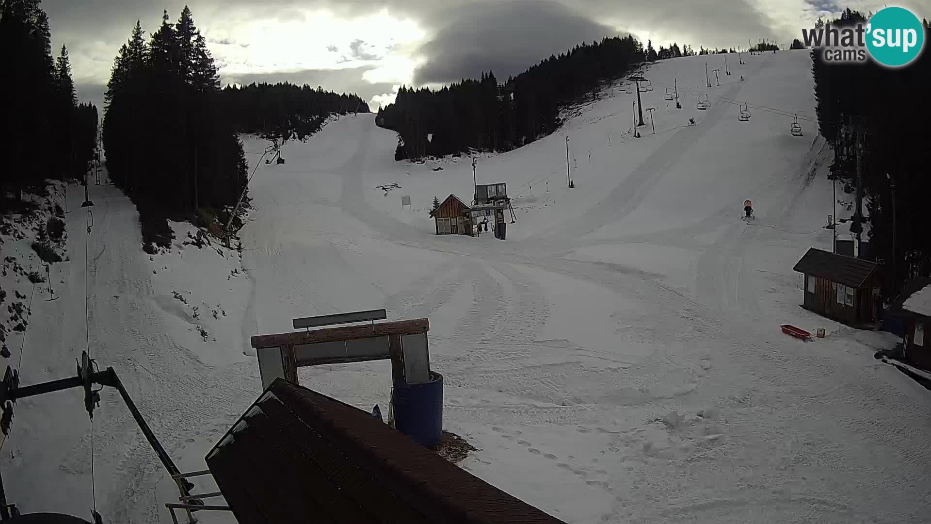 Rogla ski resort – Planja, Košuta, Jasa