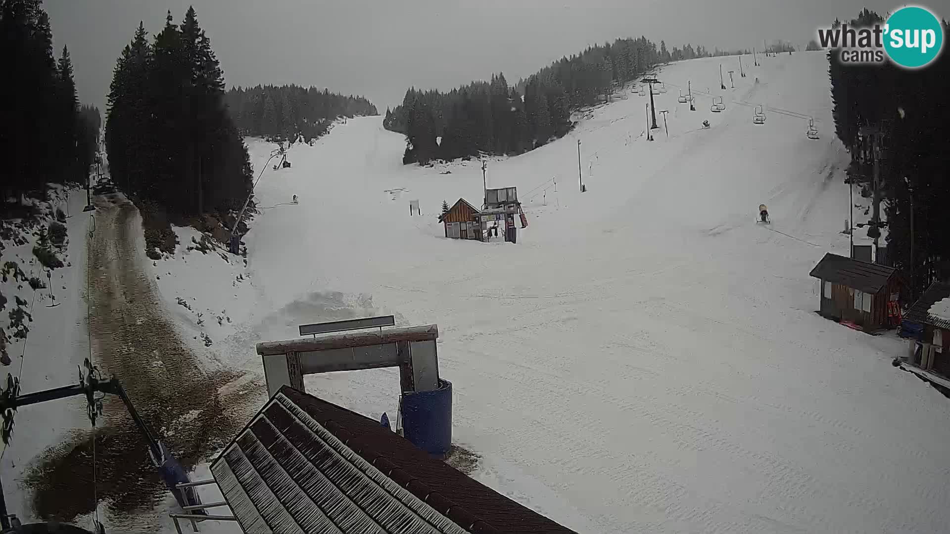 Rogla ski resort – Planja, Košuta, Jasa