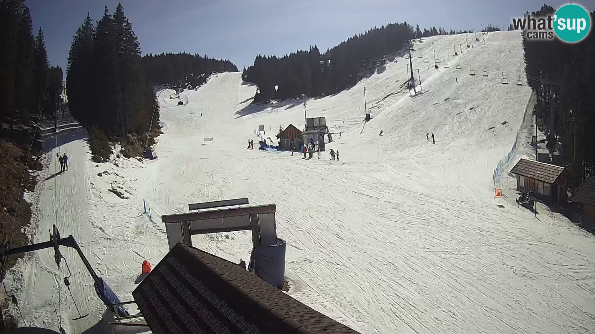 Rogla ski resort – Planja, Košuta, Jasa