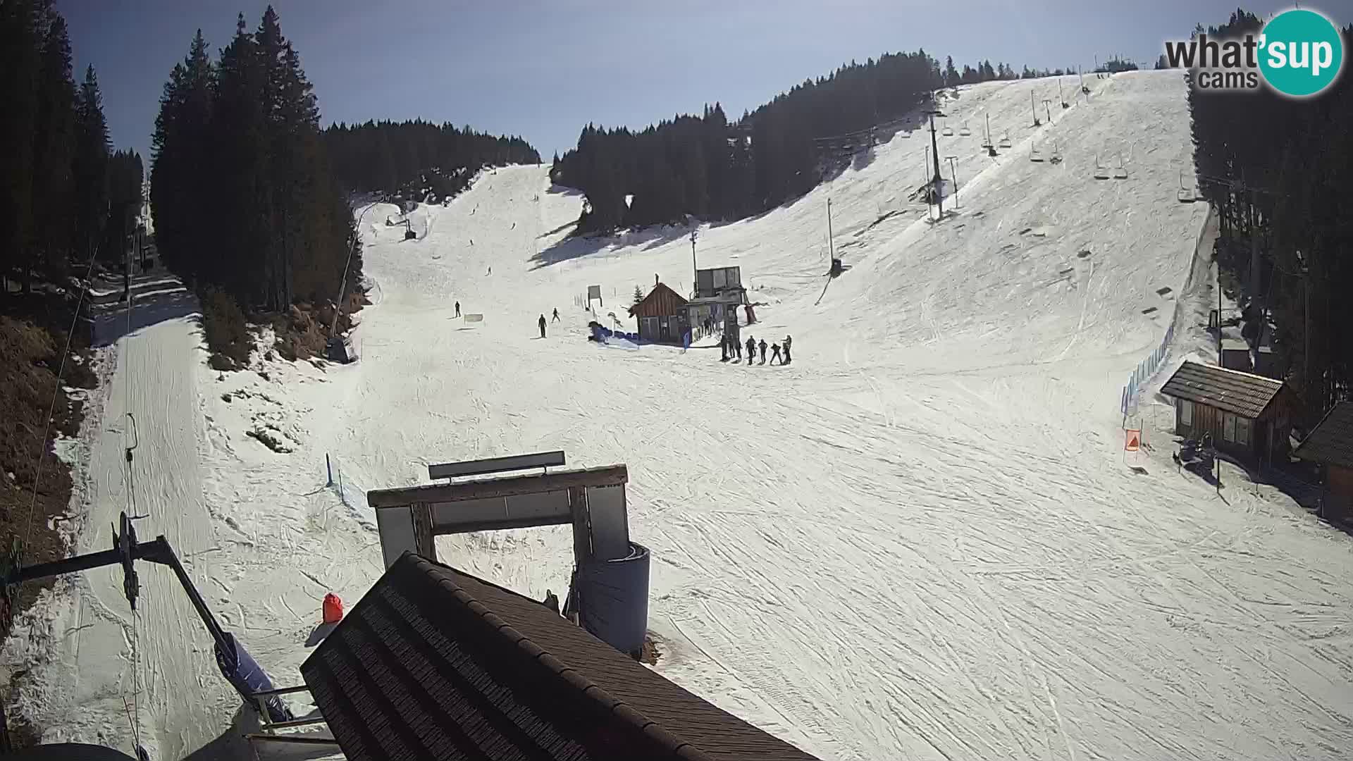 Rogla ski resort webcam Planja, Košuta, Jasa