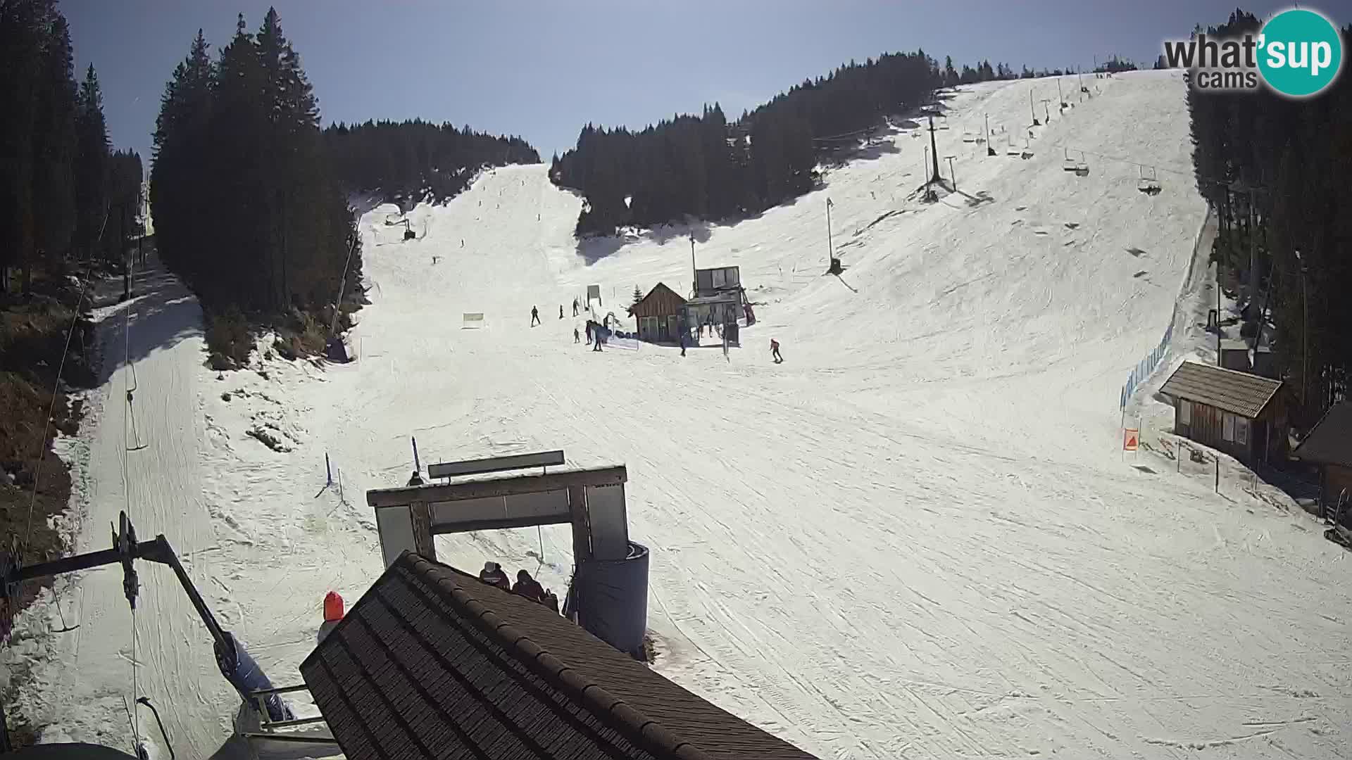 Rogla ski resort webcam Planja, Košuta, Jasa