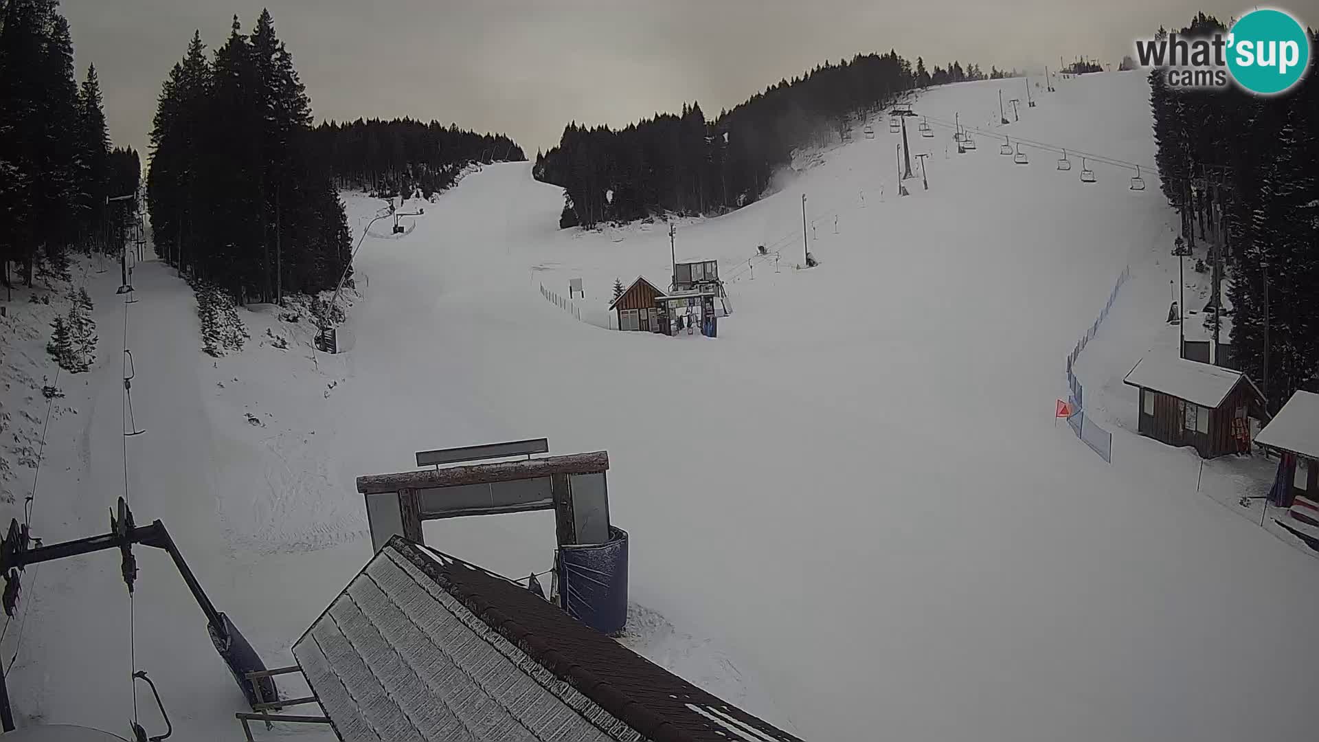 Rogla ski resort – Planja, Košuta, Jasa