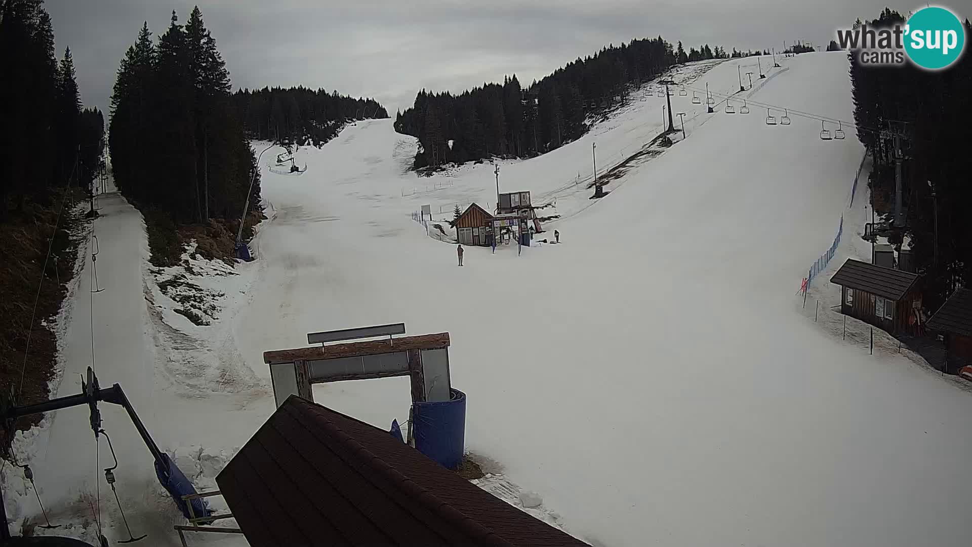 Rogla ski resort webcam Planja, Košuta, Jasa