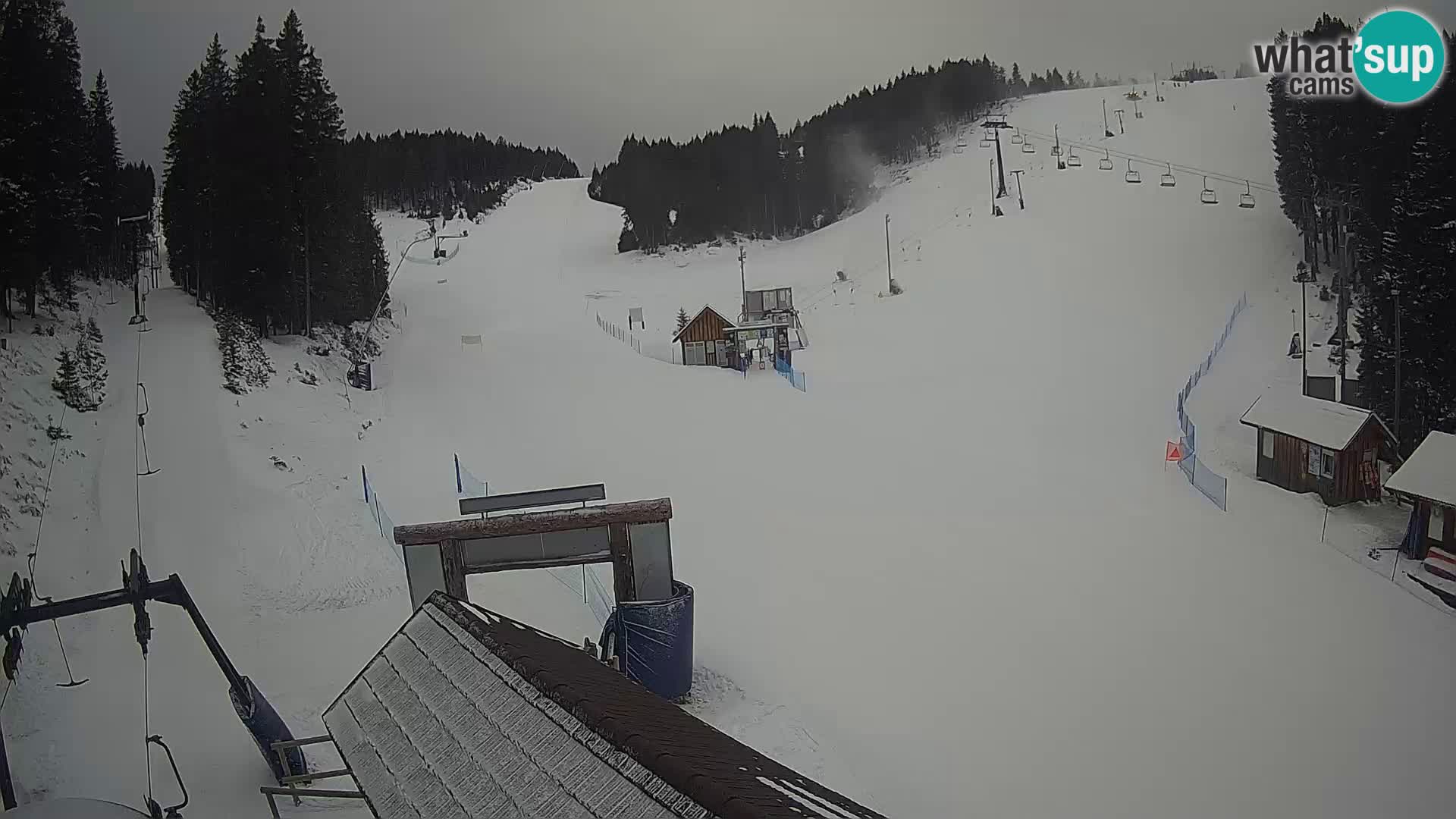 Rogla ski resort webcam Planja, Košuta, Jasa