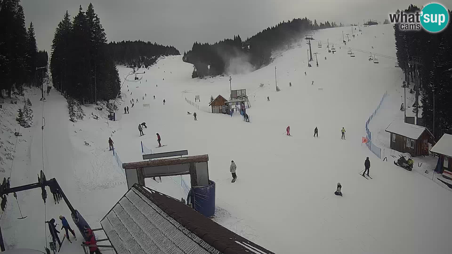 Rogla ski resort – Planja, Košuta, Jasa