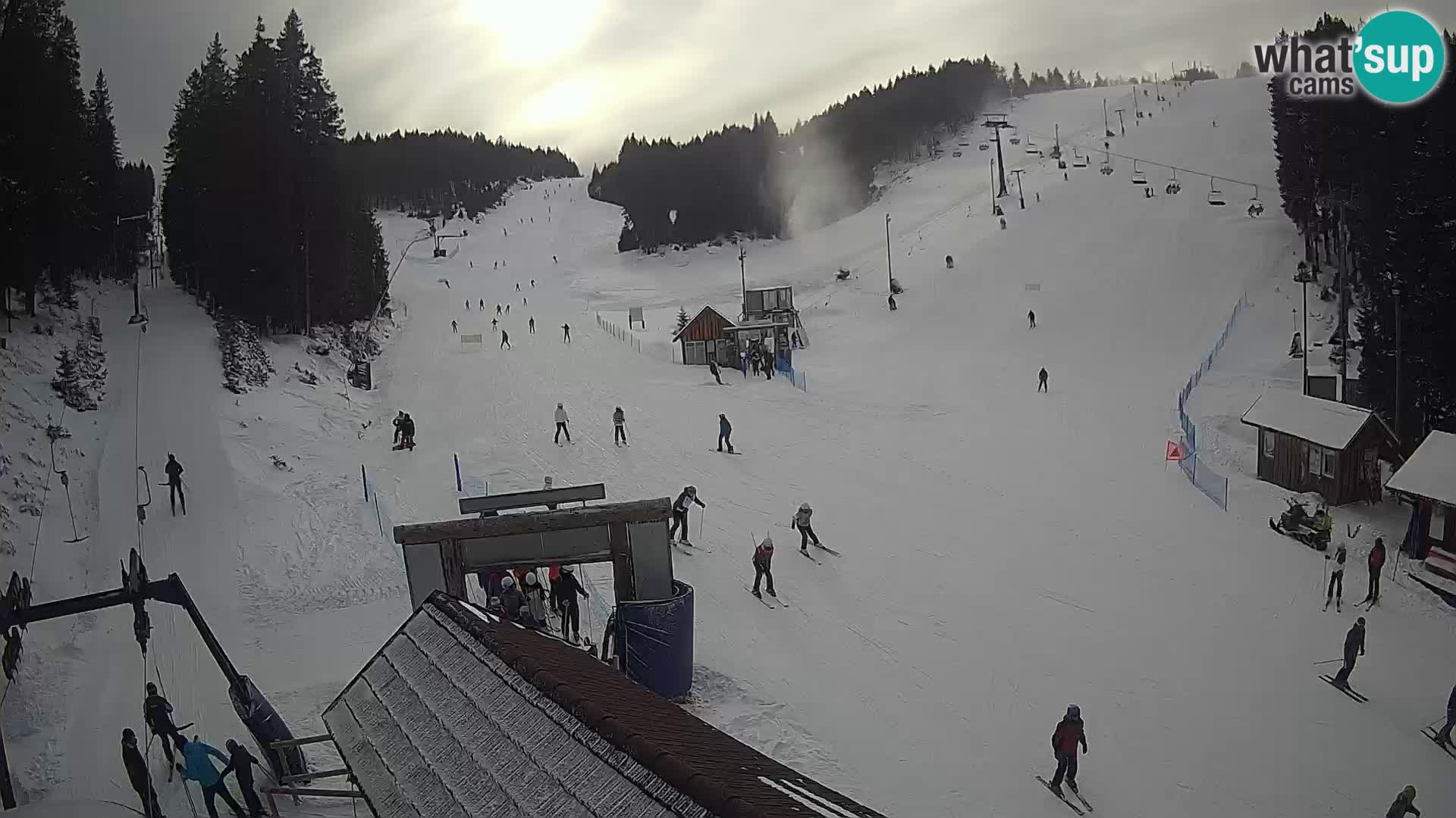 Rogla ski resort – Planja, Košuta, Jasa