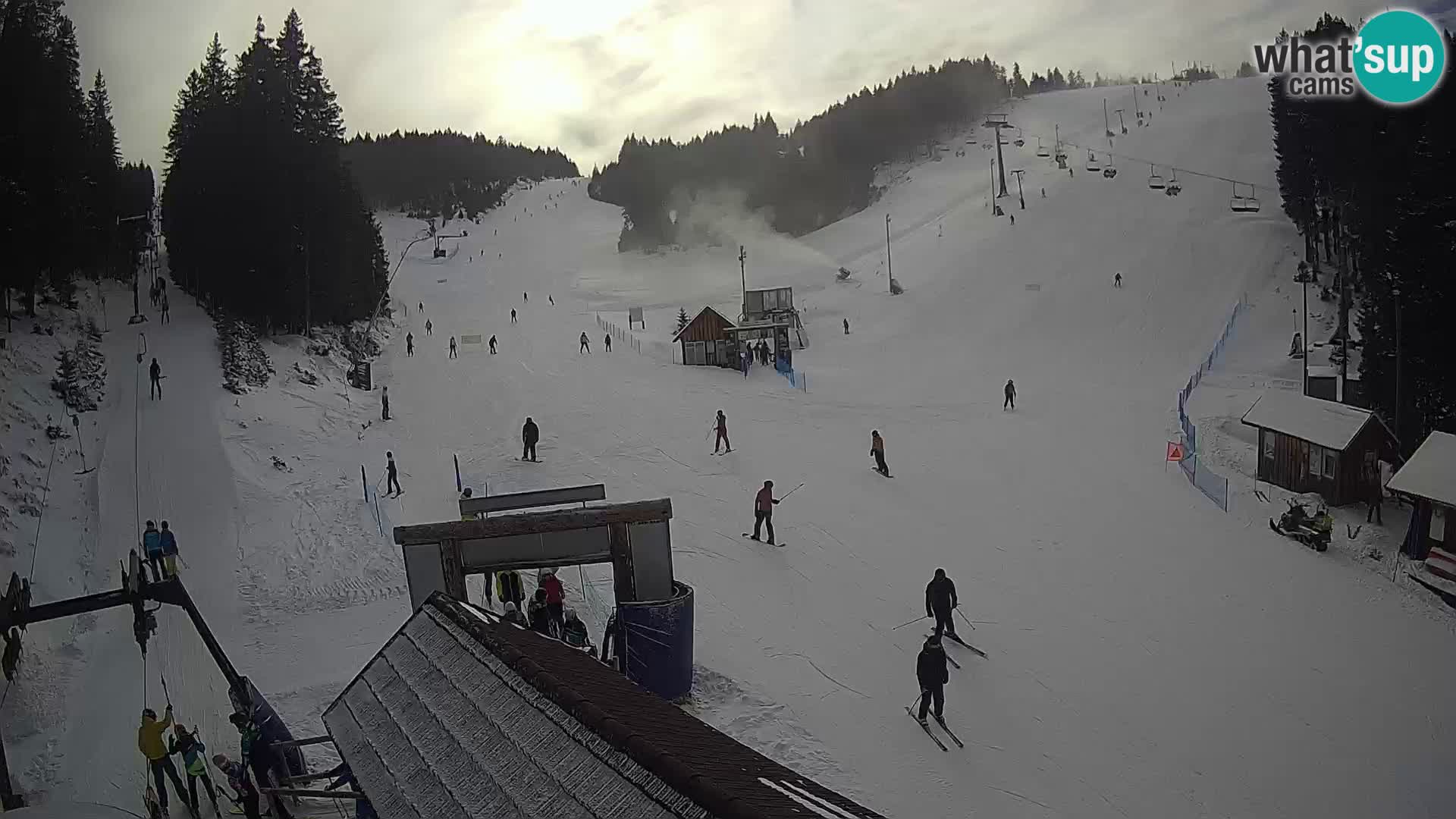 Rogla ski resort – Planja, Košuta, Jasa