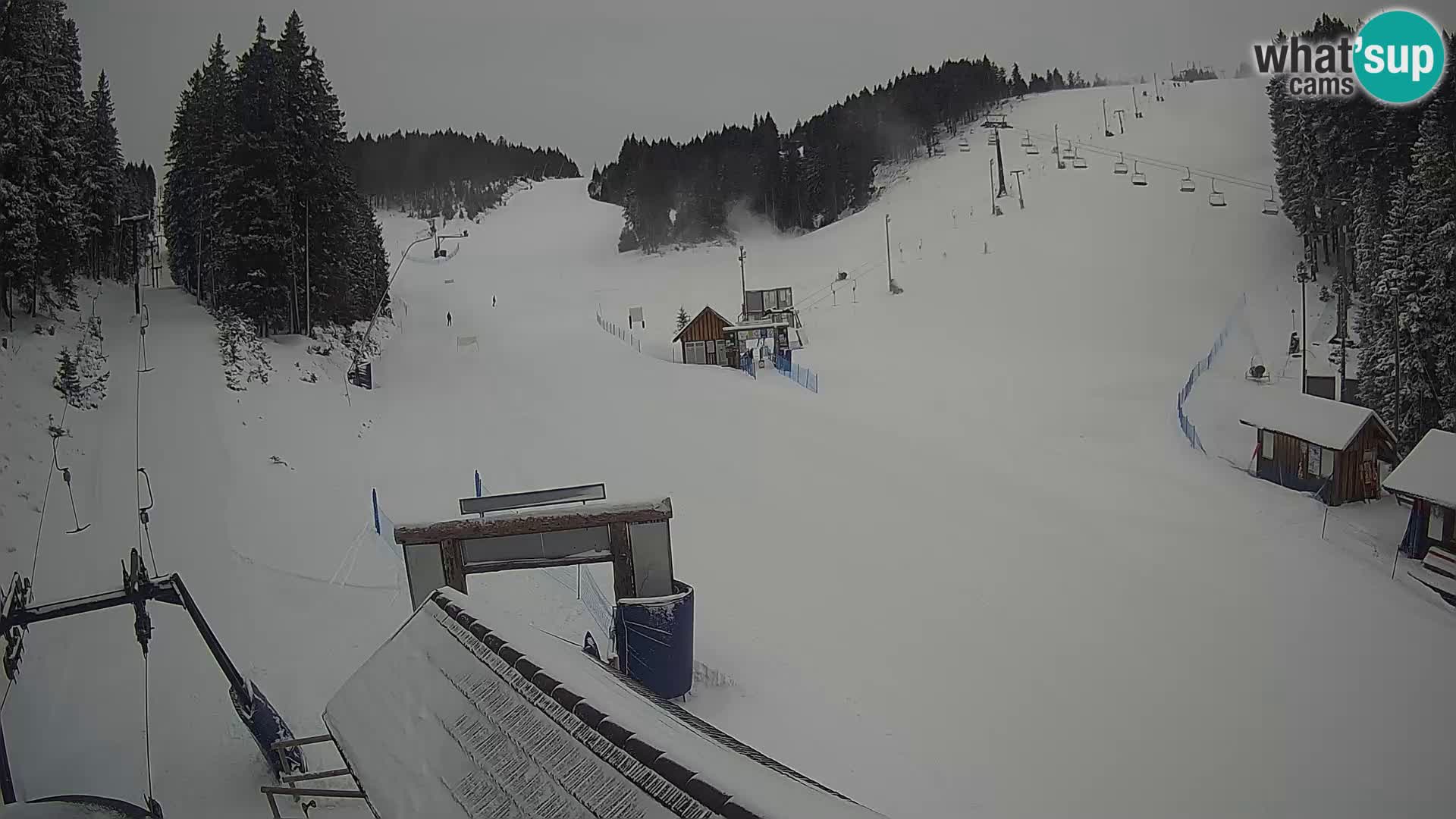 Rogla ski resort – Planja, Košuta, Jasa