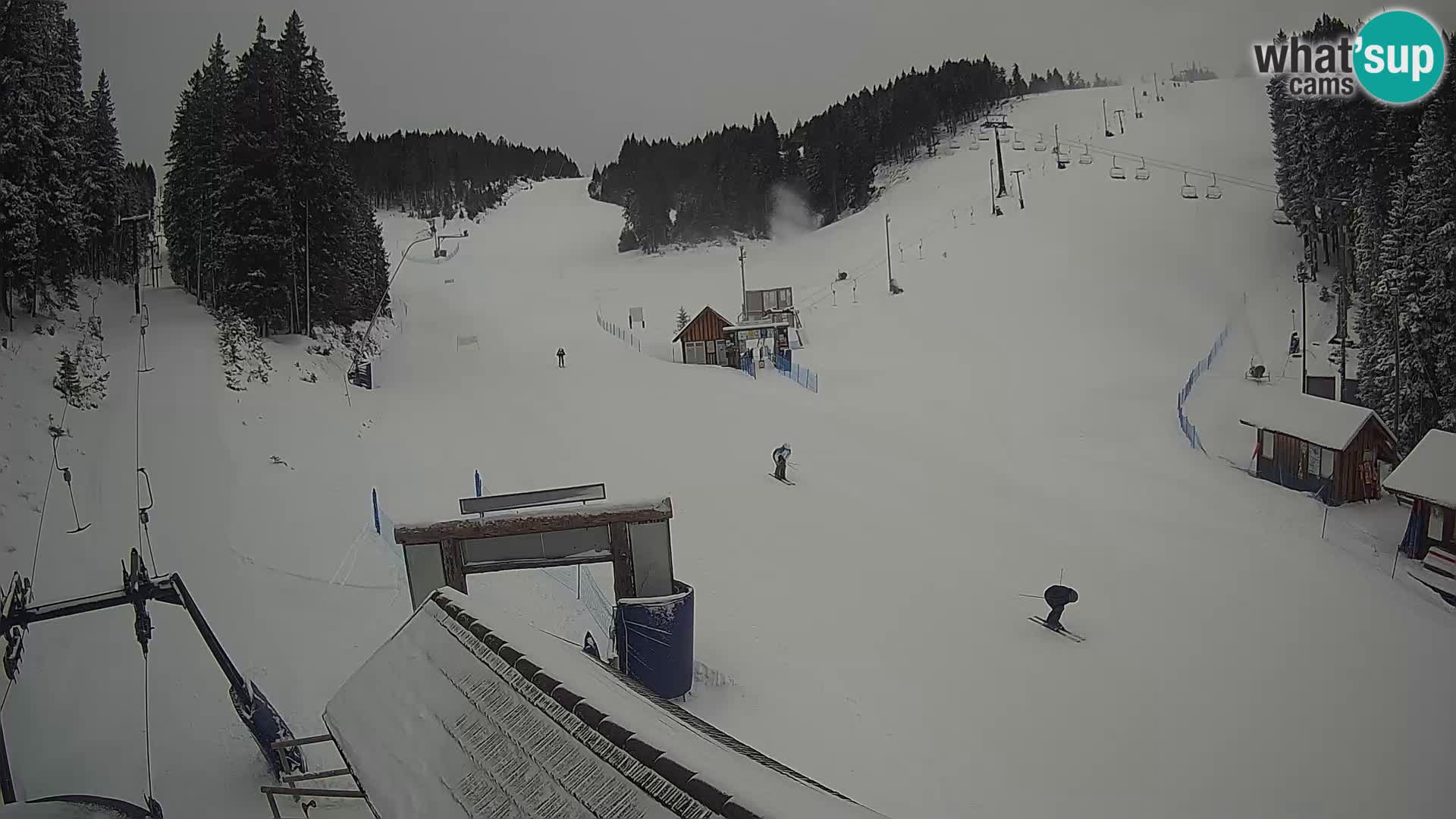 Rogla ski resort webcam Planja, Košuta, Jasa